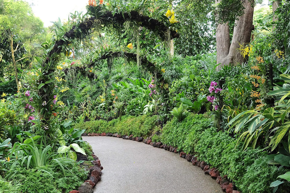 Singapore Botanic Gardens adalah tempat wisata populer untuk liburan keluarga.