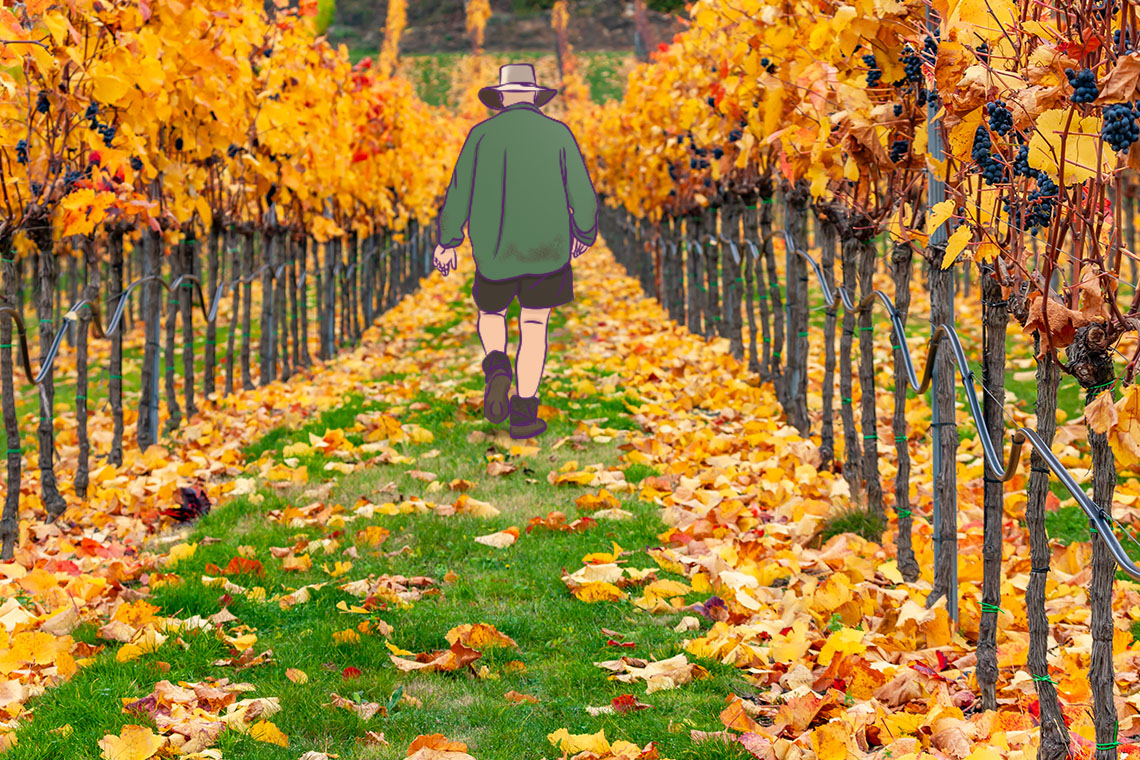 Dari pemandangan kastel megah hingga kebun anggur, kamu akan dibuat terpukau dengan indahnya musim gugur di Loire Valley, Prancis.]