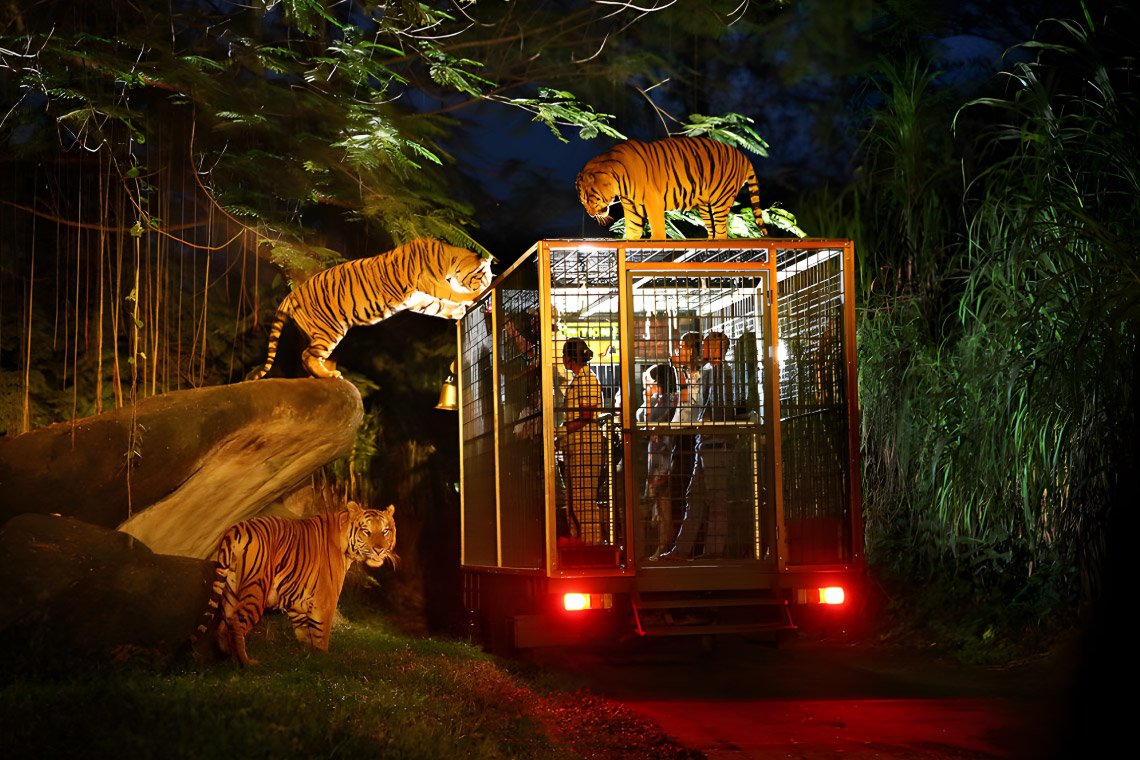 Night Safari, destinasi populer untuk wisata malam di Singapura.