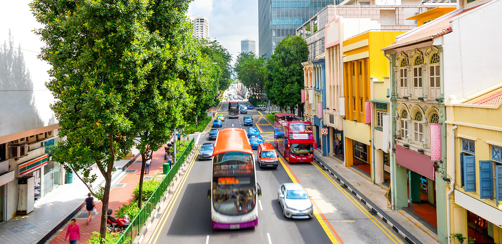 Bus merupakan salah satu pilihan transportasi yang tepat untuk menjelajahi kecantikan Singapura.