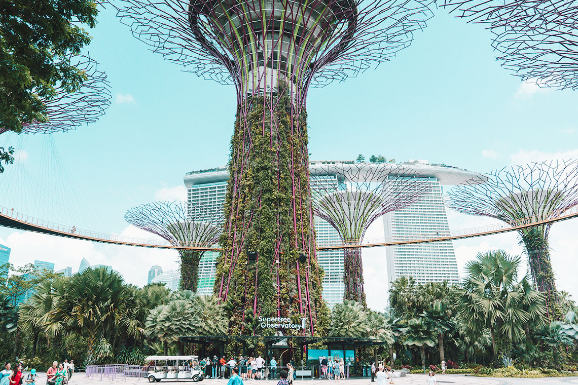  Keunikan struktur Supertree Grove di Gardens by the Bay.