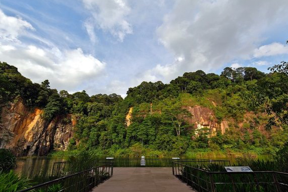 Dairy Farm Nature Park, jalur lintas alam di Singapura yang jauh dari keramaian.