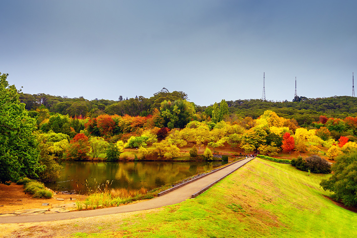 Keindahan Adelaide Hills menjadikannya tempat wisata Australia yang layak dikunjungi.